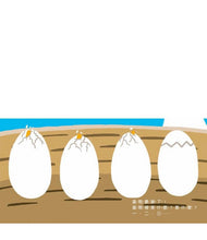 Load image into Gallery viewer, 一打開 大驚奇 一二三 哇!