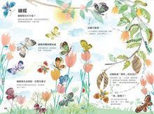 Load image into Gallery viewer, 蟲蟲大書BUGS