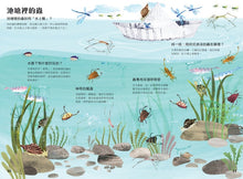 Load image into Gallery viewer, 蟲蟲大書BUGS