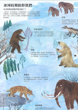 Load image into Gallery viewer, 野獸大書BEASTS