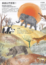 Load image into Gallery viewer, 野獸大書BEASTS