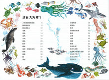 Load image into Gallery viewer, 海洋大書BLUE