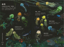 Load image into Gallery viewer, 海洋大書BLUE