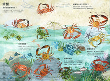 Load image into Gallery viewer, 海洋大書BLUE