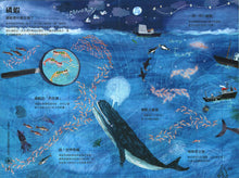 Load image into Gallery viewer, 海洋大書BLUE