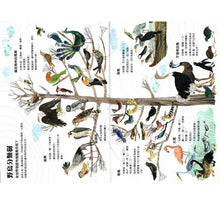 Load image into Gallery viewer, 野鳥大書BIRDS