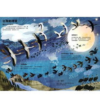 Load image into Gallery viewer, 野鳥大書BIRDS