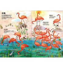 Load image into Gallery viewer, 野鳥大書BIRDS