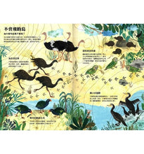 Load image into Gallery viewer, 野鳥大書BIRDS