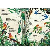 Load image into Gallery viewer, 野鳥大書BIRDS