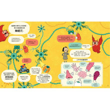 Load image into Gallery viewer, 大腦的祕密