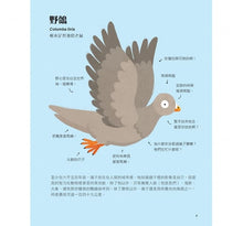 Load image into Gallery viewer, 不可思議的動物大集合