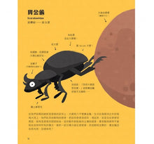 Load image into Gallery viewer, 不可思議的動物大集合