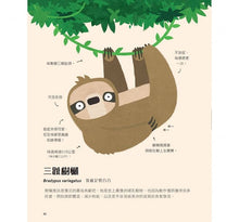 Load image into Gallery viewer, 不可思議的動物大集合