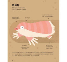 Load image into Gallery viewer, 不可思議的動物大集合