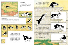 Load image into Gallery viewer, 野貓的研究
