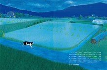 Load image into Gallery viewer, 野貓的研究