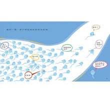 Load image into Gallery viewer, 媽媽,我從哪裡來