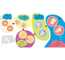 Load image into Gallery viewer, 媽媽,我從哪裡來