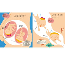 Load image into Gallery viewer, 媽媽,我從哪裡來