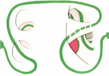 Load image into Gallery viewer, 大小一起玩:手指漫遊