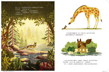 Load image into Gallery viewer, 爸爸,10多不多?