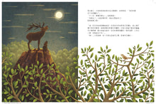 Load image into Gallery viewer, 爸爸,10多不多?