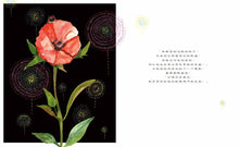 Load image into Gallery viewer, 送花給你