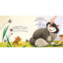 Load image into Gallery viewer, 善良的公主:仙度瑞拉