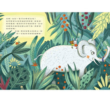 Load image into Gallery viewer, 神奇上學路