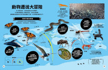 Load image into Gallery viewer, 世界觀.給孩子的萬物大地圖