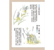 Load image into Gallery viewer, 樹液太郎的軟萌昆蟲圖鑑