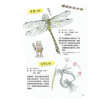 Load image into Gallery viewer, 樹液太郎的軟萌昆蟲圖鑑