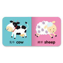 Load image into Gallery viewer, 最愛磁裝禮物書6合1:我的動物