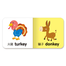 Load image into Gallery viewer, 最愛磁裝禮物書6合1:我的動物