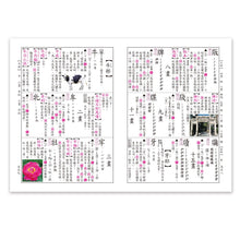 Load image into Gallery viewer, 彩色新編國語辭典