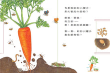 Load image into Gallery viewer, 小種子,快長大(蔬菜篇)