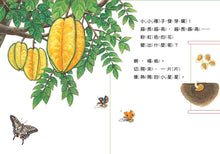 Load image into Gallery viewer, 小種子,快長大(水果篇)
