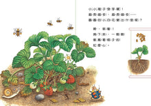 Load image into Gallery viewer, 小種子,快長大(水果篇)