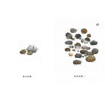 Load image into Gallery viewer, 是豬不是豬