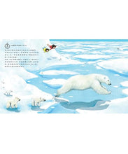 Load image into Gallery viewer, 我們的世界: 地球上的24小時