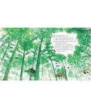 Load image into Gallery viewer, 我們的世界: 地球上的24小時