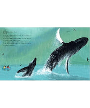 Load image into Gallery viewer, 我們的世界: 地球上的24小時