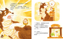 Load image into Gallery viewer, 刺蝟醫生