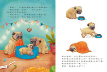 Load image into Gallery viewer, 酷臉小巴哥勇敢一點!