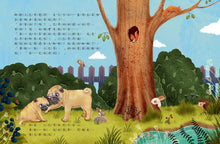 Load image into Gallery viewer, 酷臉小巴哥勇敢一點!