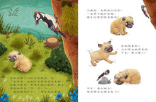 Load image into Gallery viewer, 酷臉小巴哥勇敢一點!