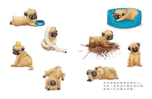 Load image into Gallery viewer, 酷臉小巴哥笑一笑嘛!