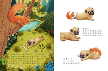 Load image into Gallery viewer, 酷臉小巴哥笑一笑嘛!