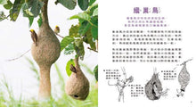 Load image into Gallery viewer, 小小建築師:動物界的建築大師